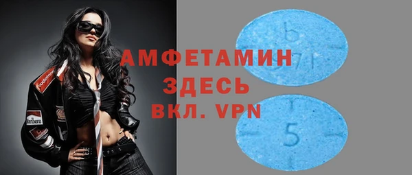 прущие грибы Горняк