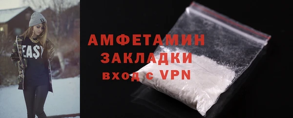 прущие грибы Горняк