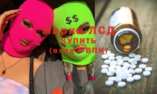 прущие грибы Горняк
